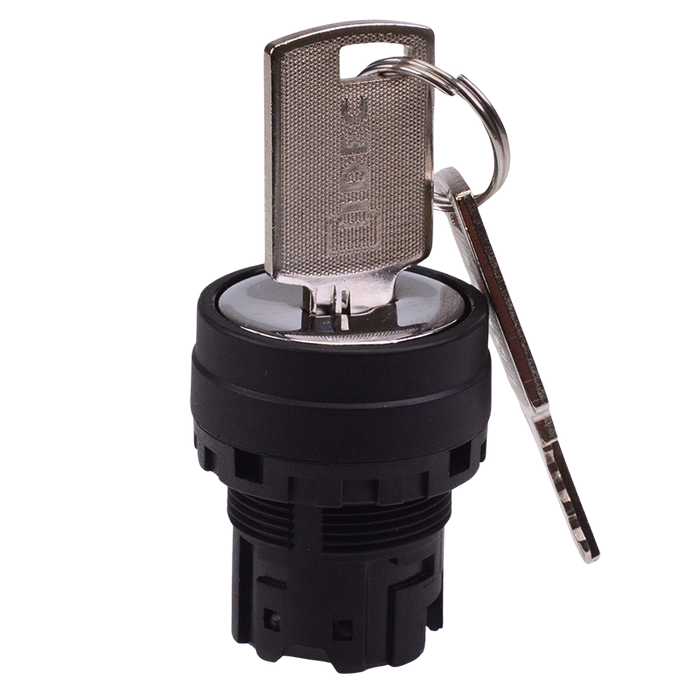 YW1K-2B 22mm 2 Position Maintained Key Switch Head IDEC