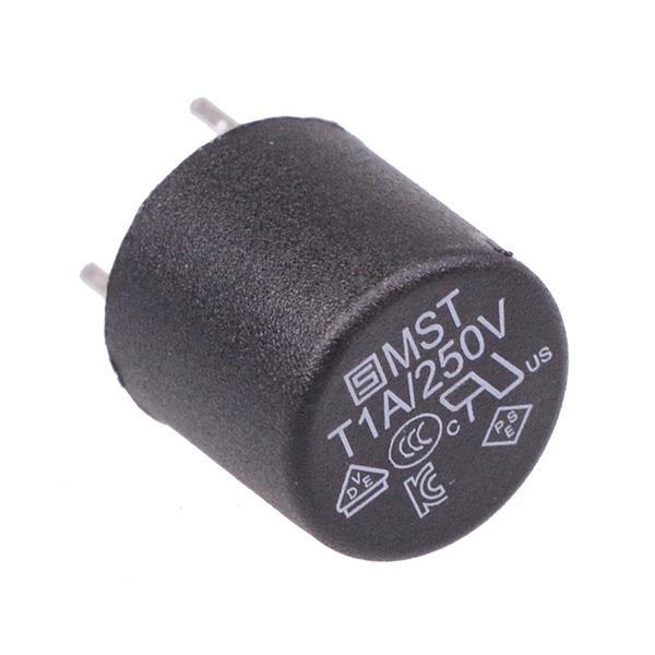 1A Radial Time Delay Subminiature Circular Fuse